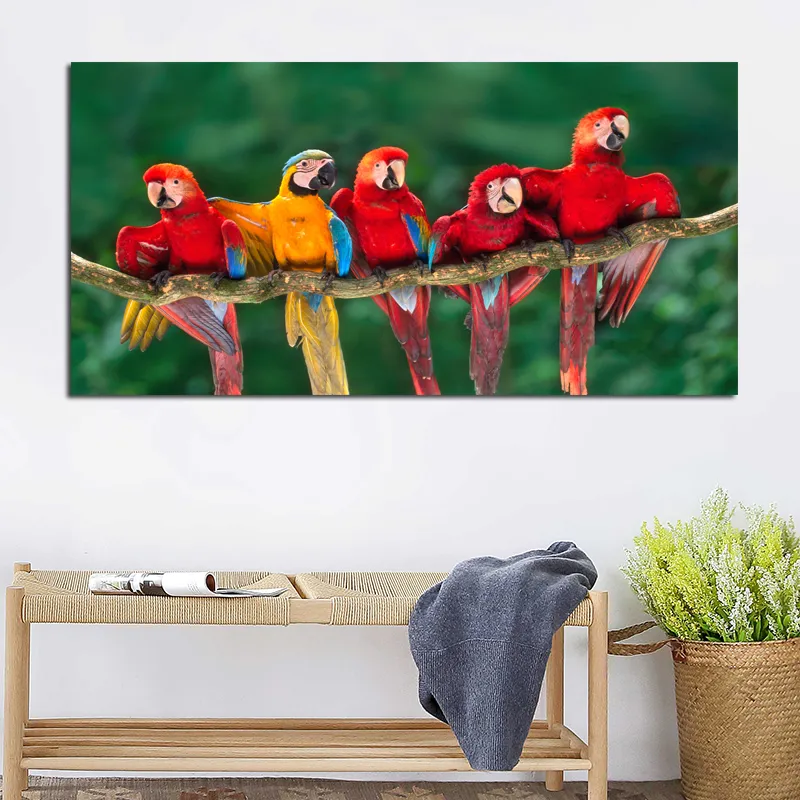 Pittura decorativa da parete Pappagalli rossi per soggiorno Uccelli Immagine Arte animata Poster Stampa Arte modulare Senza cornice