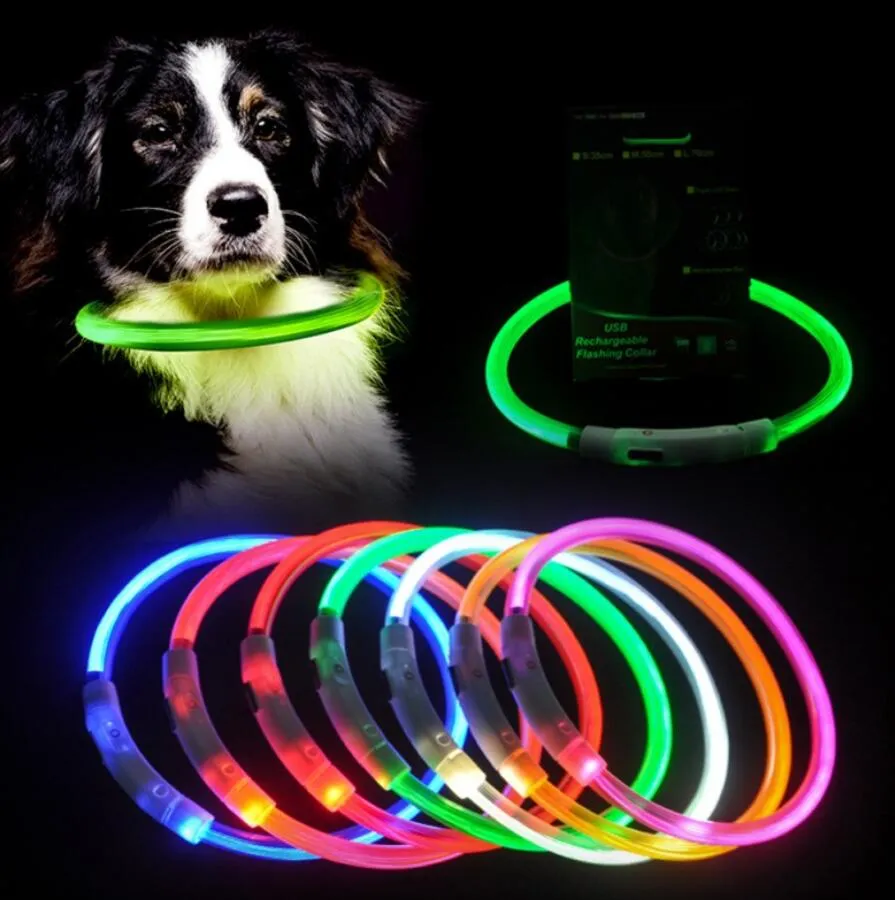 Luminous dog sales collars