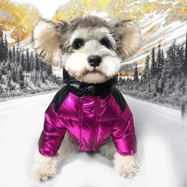 Winter Popular Dog Clothes Ski Suit Pet Down Jacket Dog Puffer Coat So Cool Handsome Dog Coat Poodle 2 Colors 240o