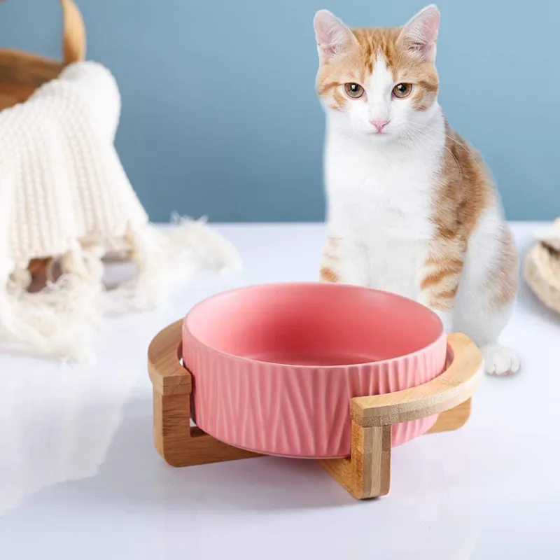 Elevated Ceramic Cat Bowl with Wood Stand - Tree Design, No Spill Pet ...