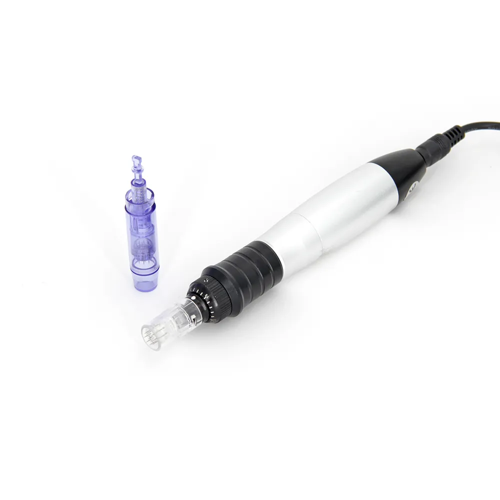 Dermapen Cordless Microneedle Pen Mesoterapia Macchina per la cura della pelle domestica con 50 pezzi 12 cartucce di ricambio per aghi Consegna gratuita