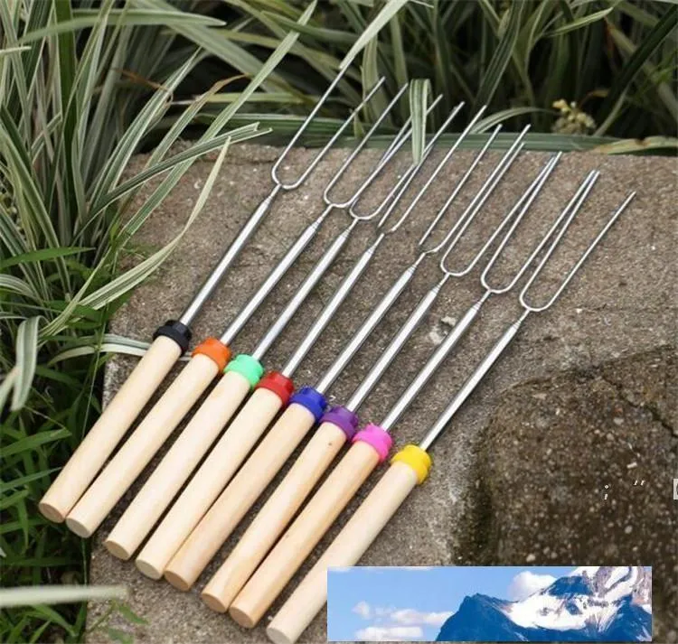 Outils BBQ Tools en acier inoxydable Bâtons de torrateur de guimauve d'inox extensifs Télescopes torréfacteurs GCF14105