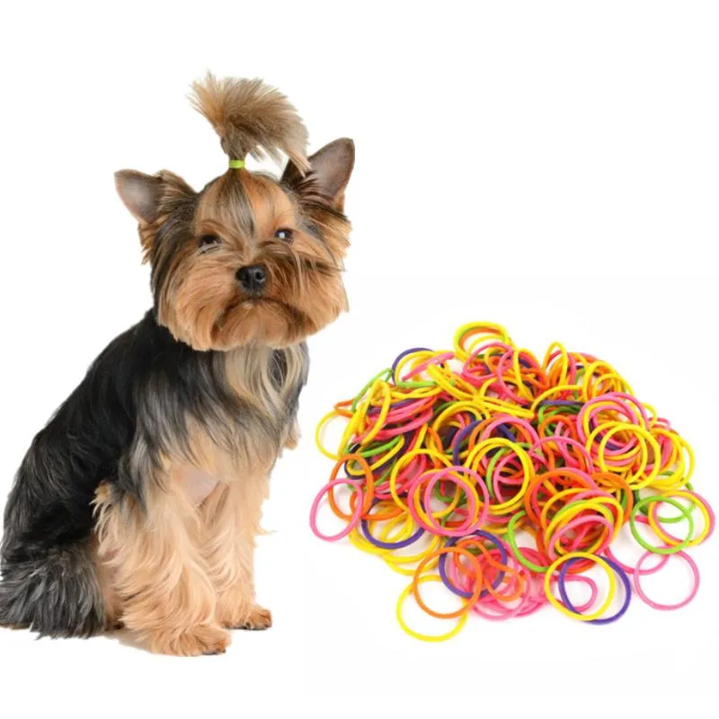 Hundkläder 170cs / väska blandade färgglada gummiband tjejer husdjur DIY hårbågar grooming hårpin tillbehör till liten utbud