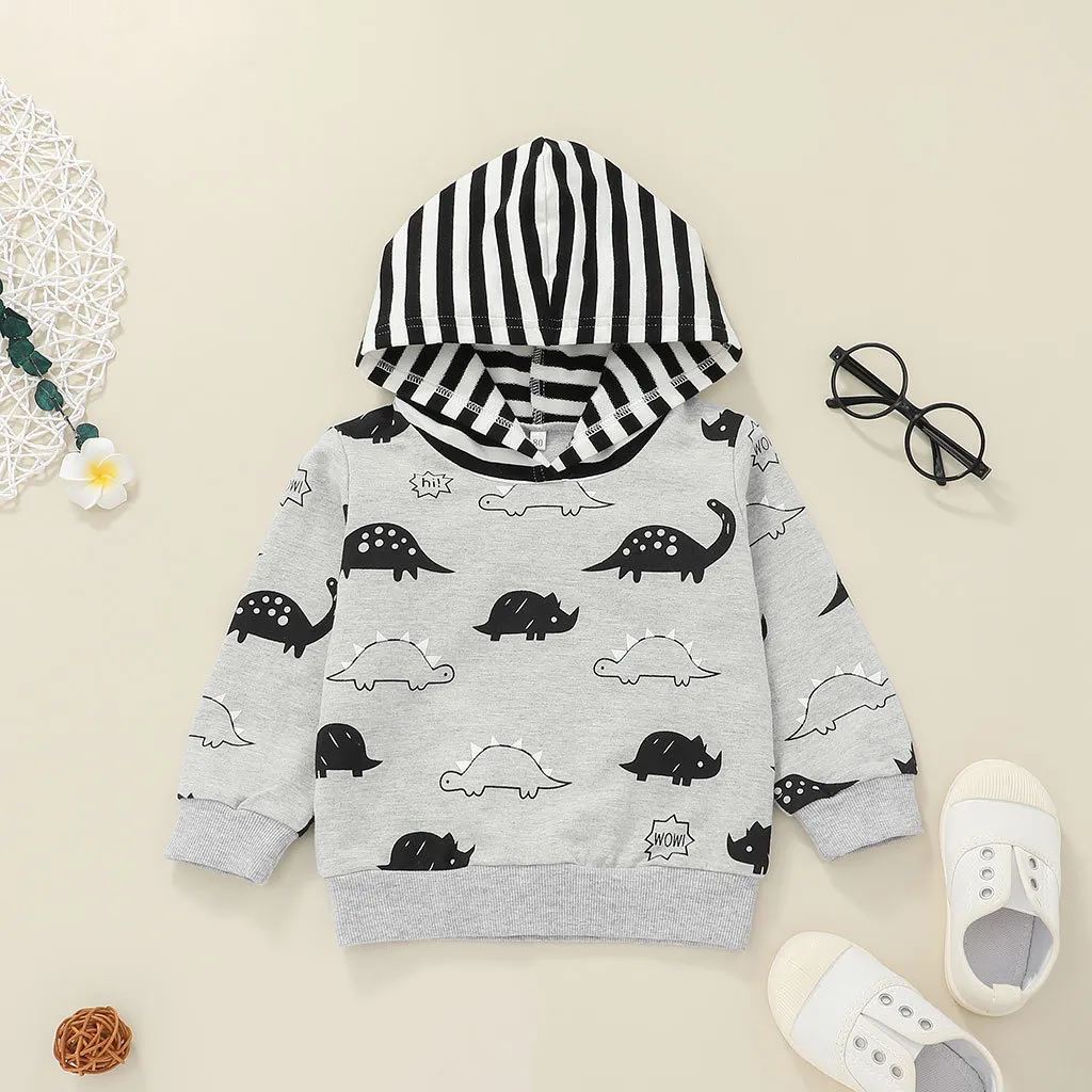 Baby Clothing Set Dinosaur Hoodies+Long Pants Fall 2021 Children Boutique Clothes 0-2T Infant Toddler Cotton Long Sleeves Tops Suit Stylish