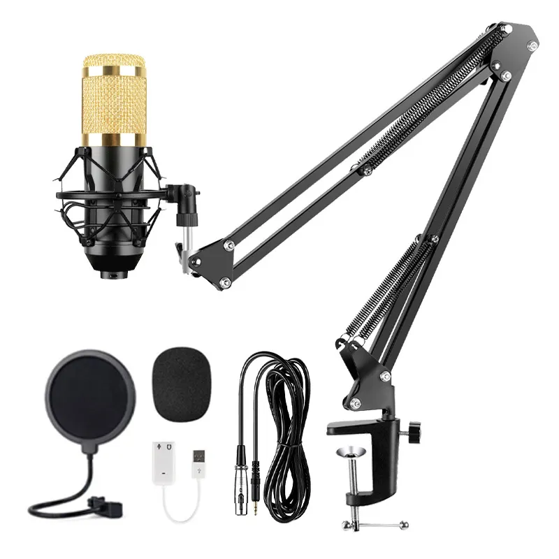 BM800 condensateur professionnel Studio enregistrement flux Podcasting YouTube jeu karaoké PC Microphone