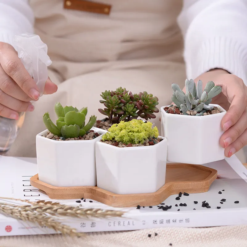 4-Piece Hexagon Succulent Pots - White Ceramic Planters with Bamboo ...