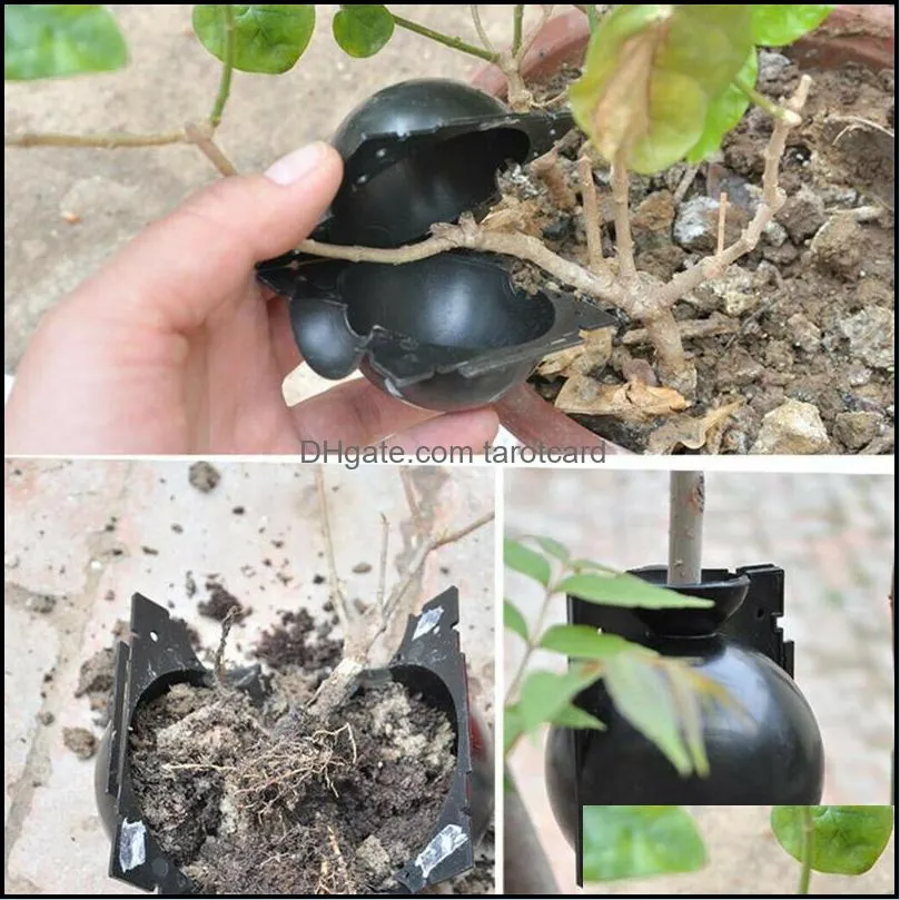 Plant Rooting Ball Grafting Box Breeding Case Plant Root Growing Boxes For Garden 5/8/12cm In Diameter planting tools