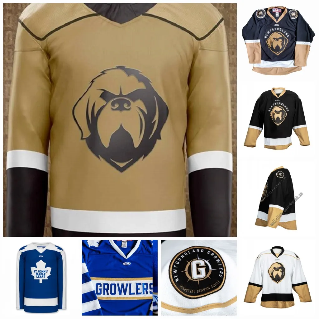 Newfoundland Growlers 2021 Third ECHL St. Johns Maple Leafs Leafs