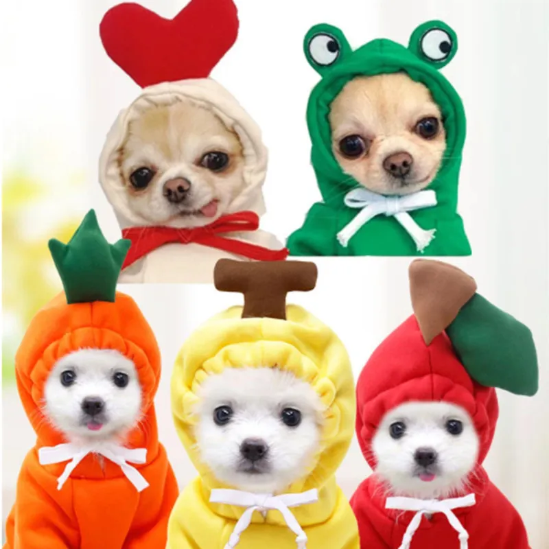 schattige hond kleding fruit lente herfst puppy kleding hoodies trekkoord trui jongen meisje unisex uppy katten kostuum Franse chihuahua pak honden truien voor kleine honden