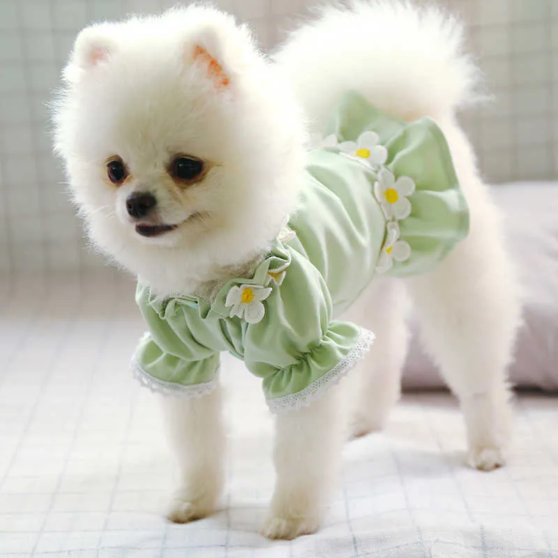 Valp hund tunn söt blommig prinsessa ruffles kjol för små hundar katter vår sommar randiga knappar teddy chihuahua klänning