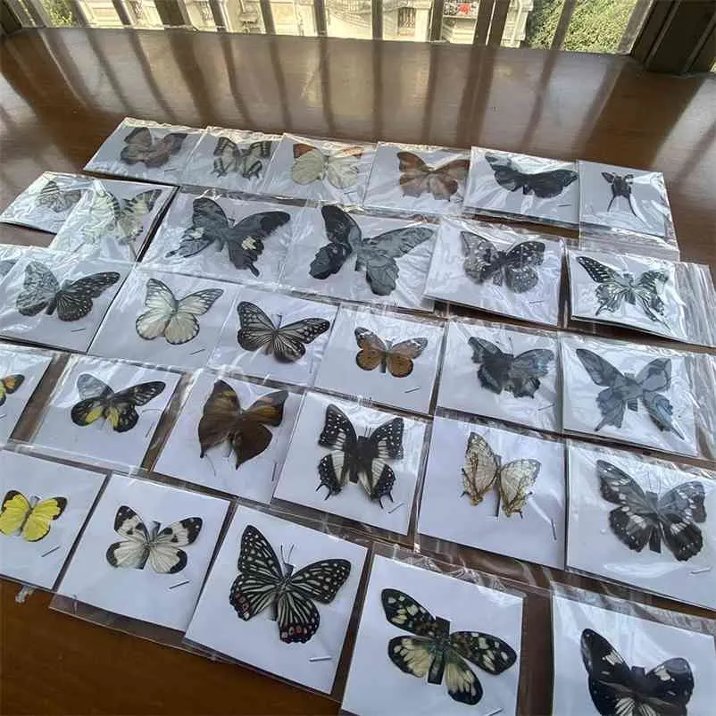 20 Stück natürliche unmontierte Rhopalocera / Le Papillon / Schmetterlingsexemplar Kunstwerk Material Dekor 210727