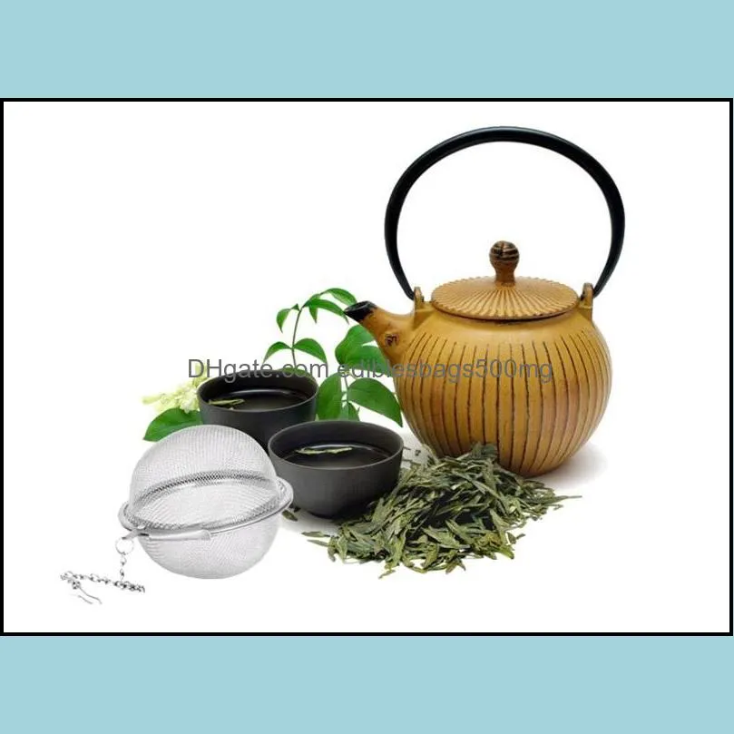 304 Stainless Steel Tea Strainer Tea Pot Infuser Mesh Ball Filter With Chain Tea Maker Tools Drinkware