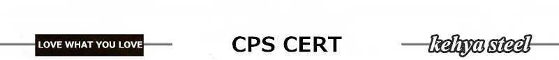 5 CPS CERT X