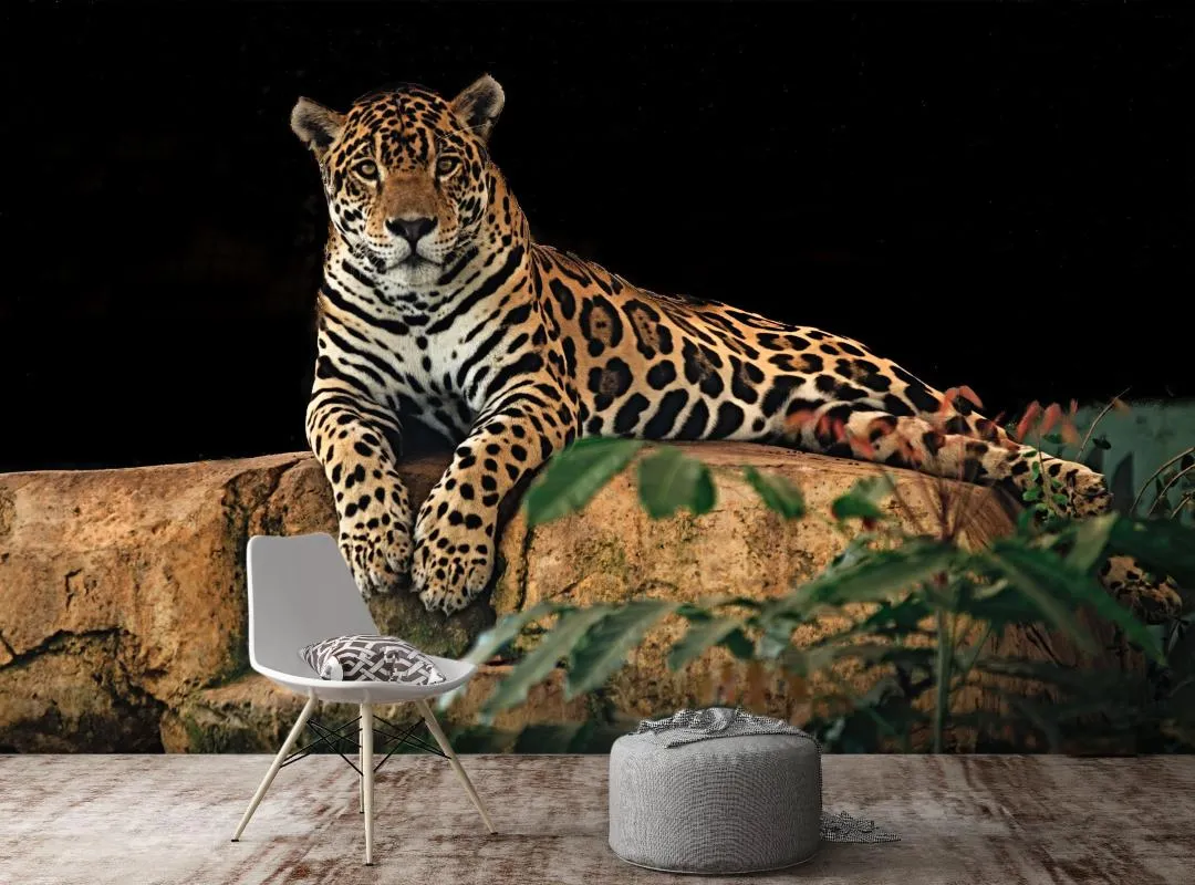 珍しい 壁紙 自己接着 3dジャガー壁紙壁画版画デカール壁画 日本公式販売店 ホーム ガーデン ホームデコ Svenh Art