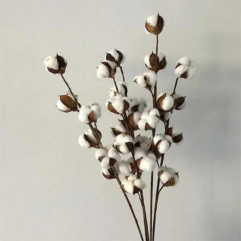 Decorative Flowers & Wreaths Flone Dried Flower Cotton Branch 6 Head Long Simulation Tree Home Wedding Decor Artificial