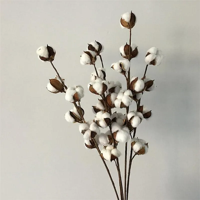 Decoratieve bloemen kransen flone ​​gedroogde bloem katoenen tak 6 hoofd lange simulatie boom thuis bruiloft decor kunstmatig