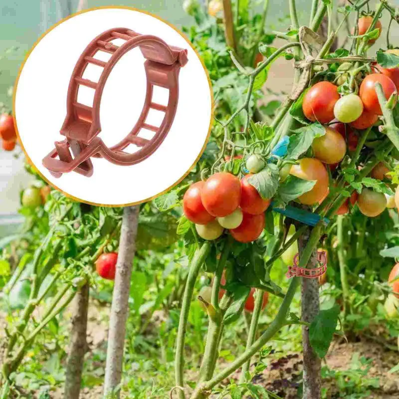 Andere tuinbenodigdheden 100 stks anti-buig tomaat stam ondersteuning clips plant fixing