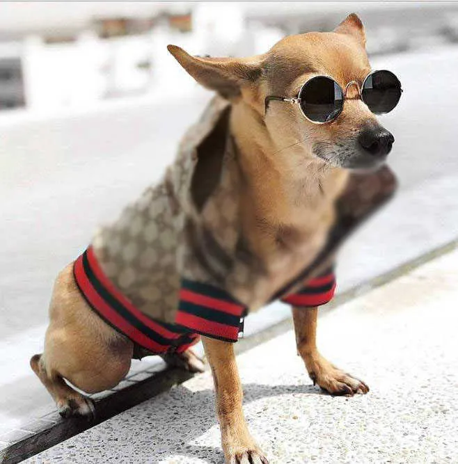 Vêtements de chien de compagnie classique modèle extérieur mode réglable harnais pour animaux de compagnie manteau mignon Teddy sweats à capuche costume petit collier de chien Accessor273S