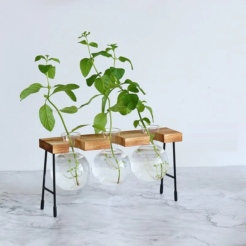 Vaser glas vase hydroponic växt träram kaffebutik dekor terrarium växter hem bonsai dekoration propagation station