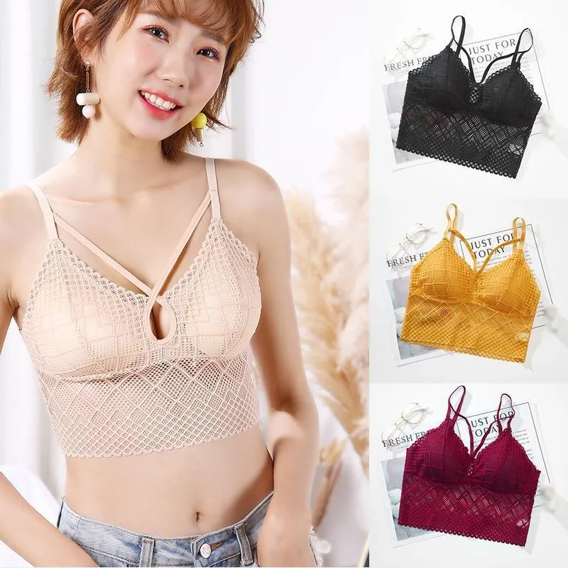 Women's Lace Underwear Wire Free Bra, Lady Padded Bralette, Lace