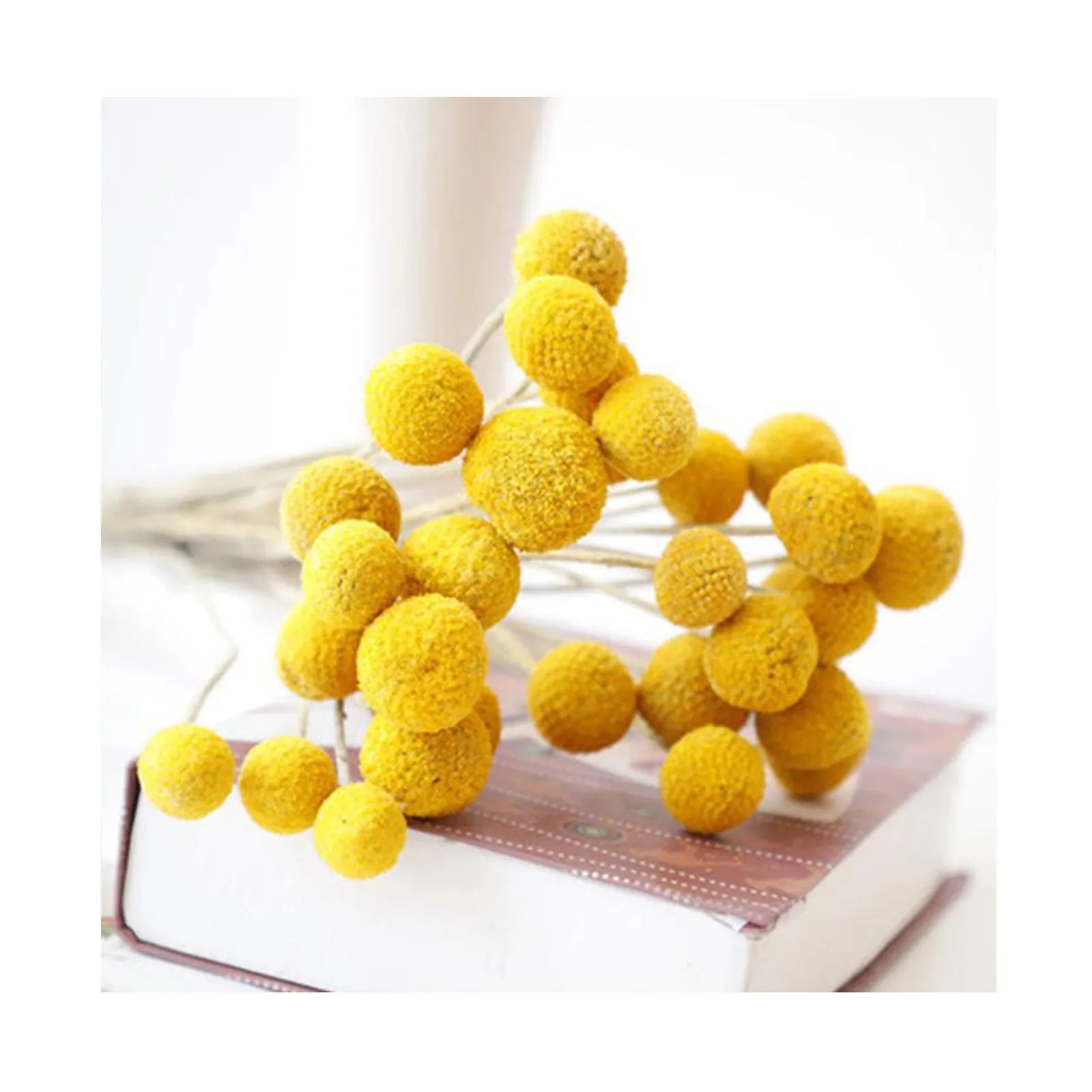 Dried Craspedia Flowers Billy Button Balls Balls Falso Seta gialla Accessori per la casa Decorazioni artificiali