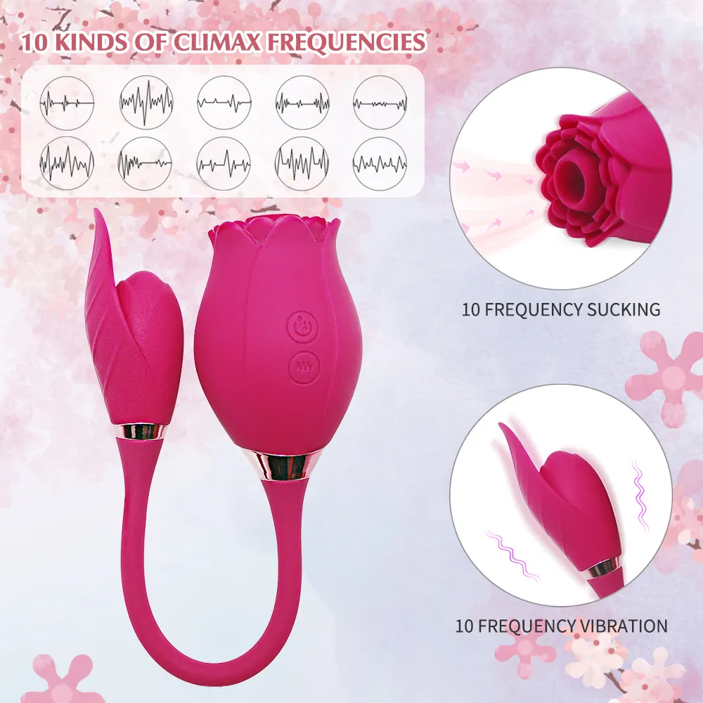 Massage double moteur Rose succion vibrateur 10 fréquences Vibration oeuf vibrateur mamelon stimulateur clitoridien produit érotique Sex Toy for269h