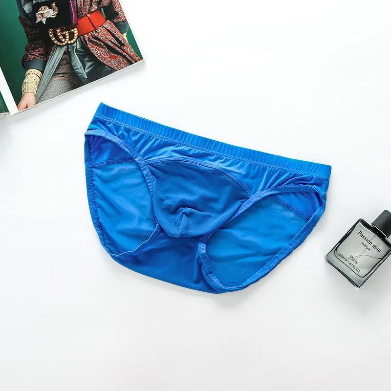Underpants Mens Sexy Underwear Briefs Thin Elasticity Low Waist Breathable Transparent Mesh Lingerie Male Panties F1304