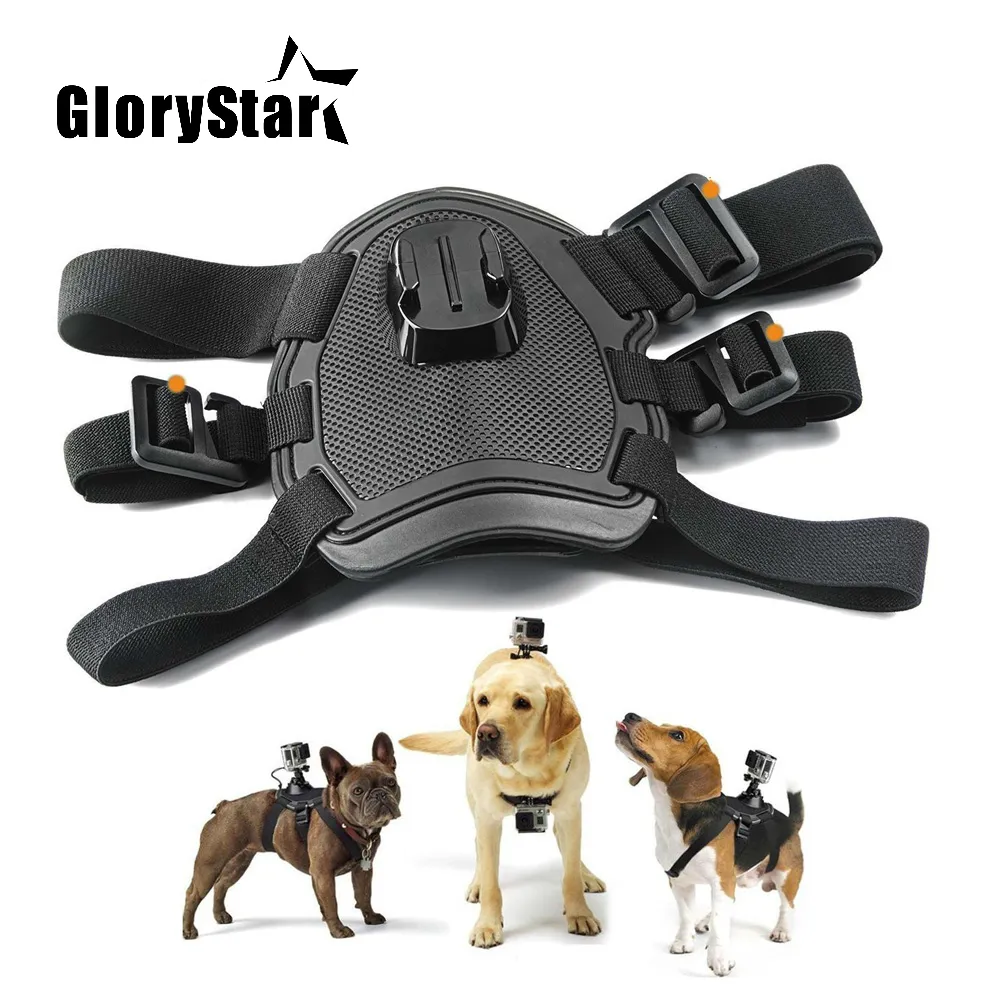 Harnais pour chien GoPro Fetch