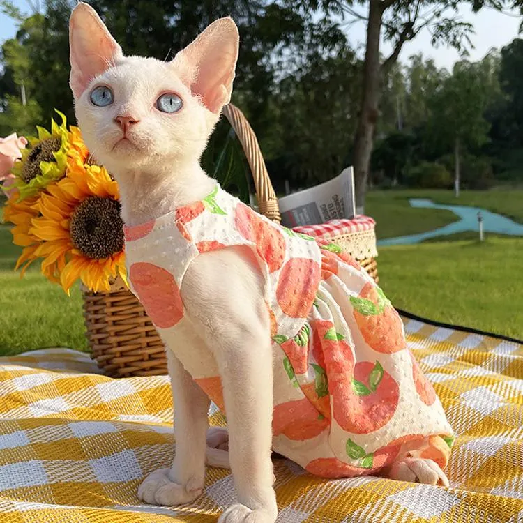 Sphynx dress sales
