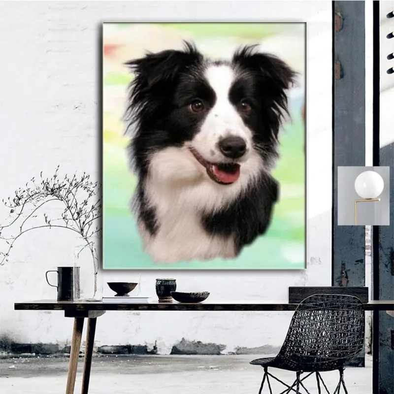 Diamant schilderij 5D DIY Border Collie Patroon Volledige Vierkante Ronde Borduurwerk Dog Rhinestones MOSAIC Woondecoratie CV77