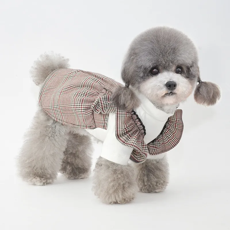 Vêtements pour chiens Automne et hiver Vêtements pour petits chiens, style japonais-coréen, vêtements à deux pattes pour chats