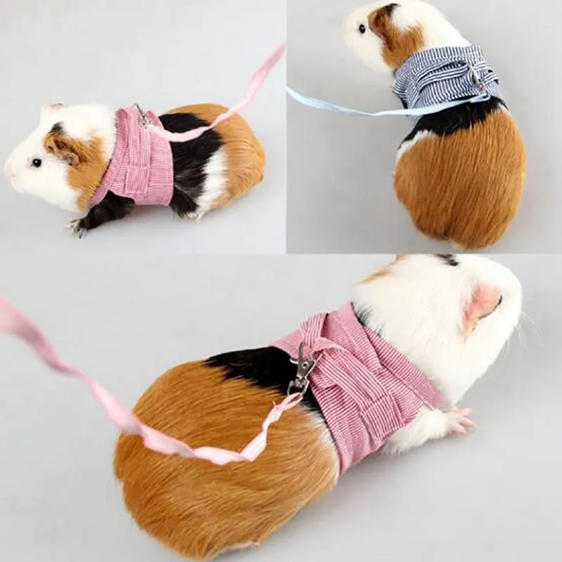 Small Pet Two-legged Chest Strap Outdoor Traction Rope Leash Clothes For Chinchilla Dutch Guinea Pig Breathable Cotton Corset303P