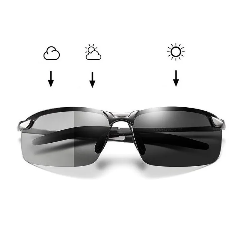 Chameleon and sunglasses shop