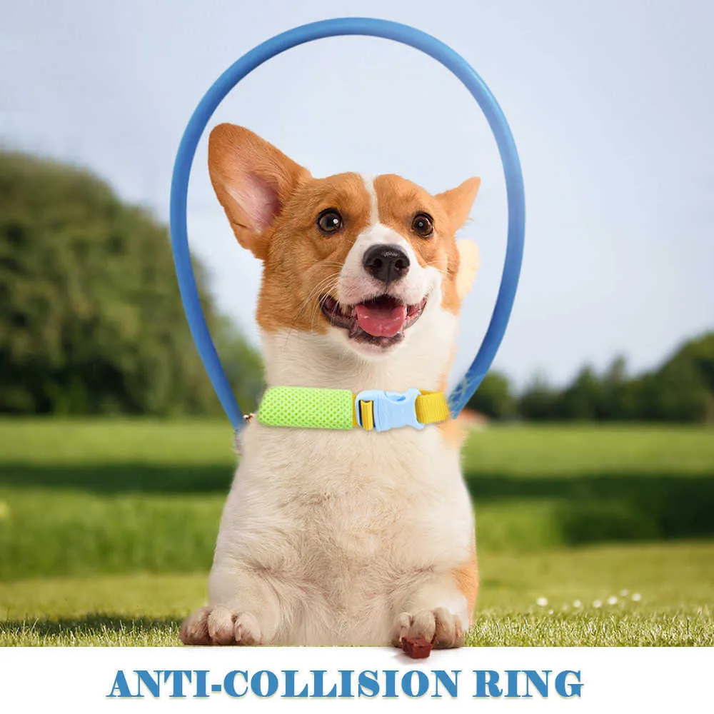 Blind Pet Anti-collision Collar Dog Guide Training Behavior Aids fit small big Dogs Prevent Collision collars supplies 211006