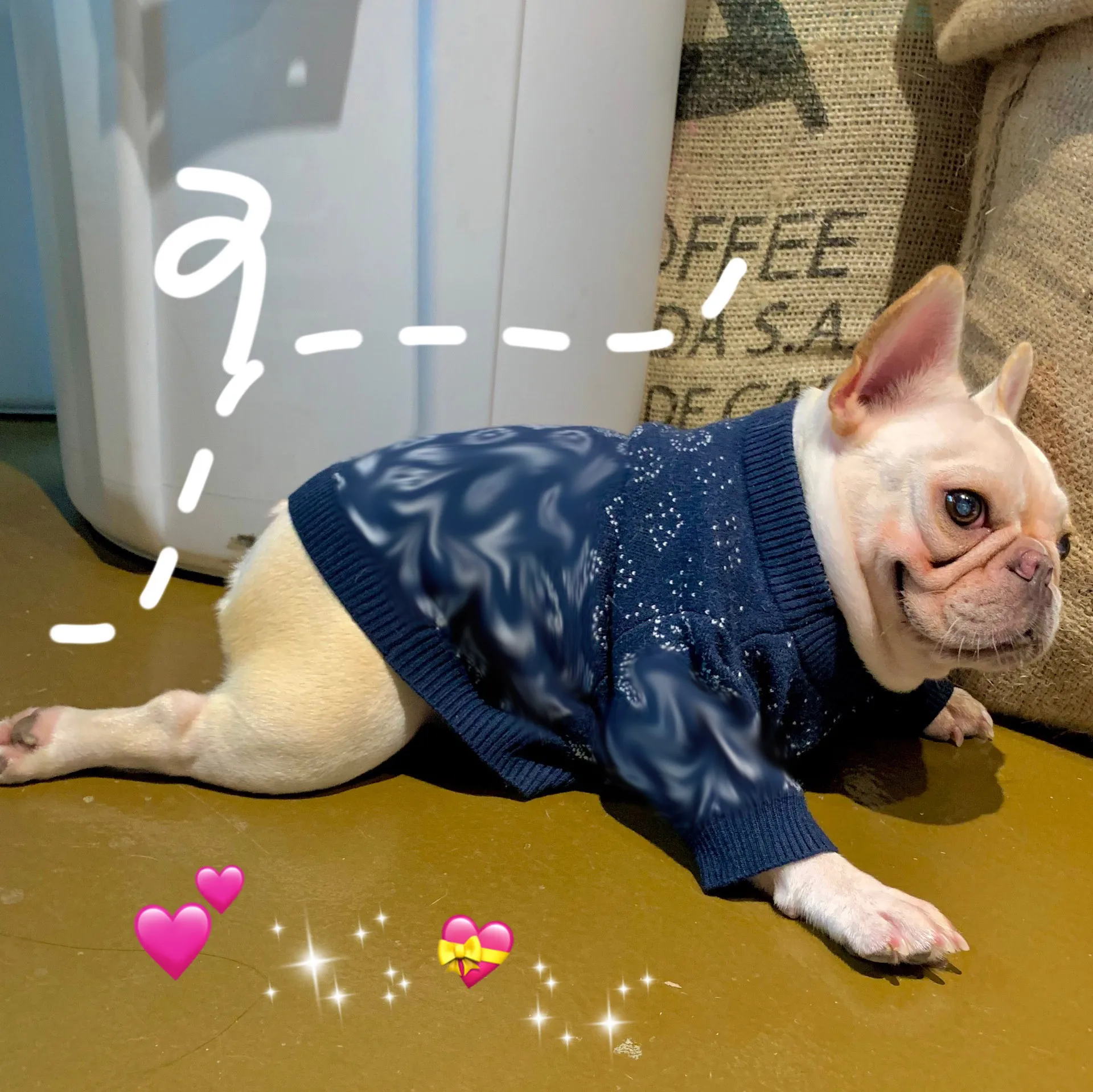 Tryckt husdjur tröja t-shirt brev Jacquard hundar sweatshirts kläder pug schnauzer teddy valp kläder kläder