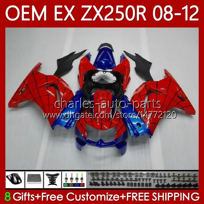 Kawasaki Ninja 250R Fairing Kit ABS Fairing Kit For Kawasaki Ninja