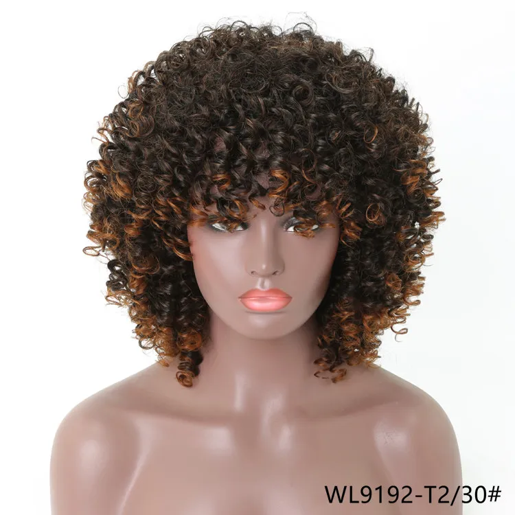 16 pouces Afro crépus bouclés perruques synthétiques Simulation perruque de cheveux humains gris perruques de cheveux humains WL9192-T2/30 #