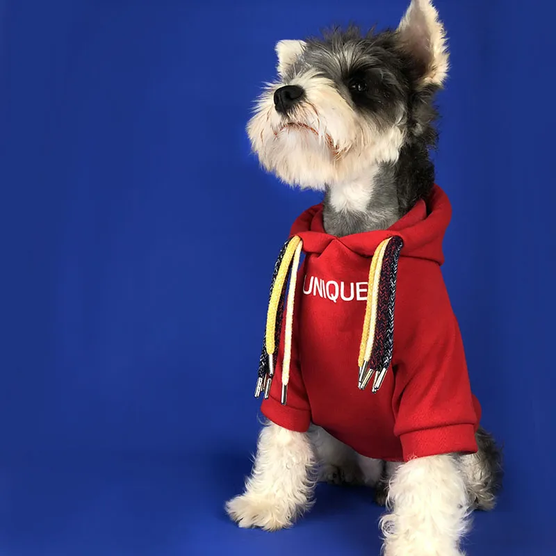 Letra de cor sólida Pet Hoodies Simples Impresso Capuz De Cão De Cão Filhote De Cachorro Schnauzer Schnauzer à prova de vento