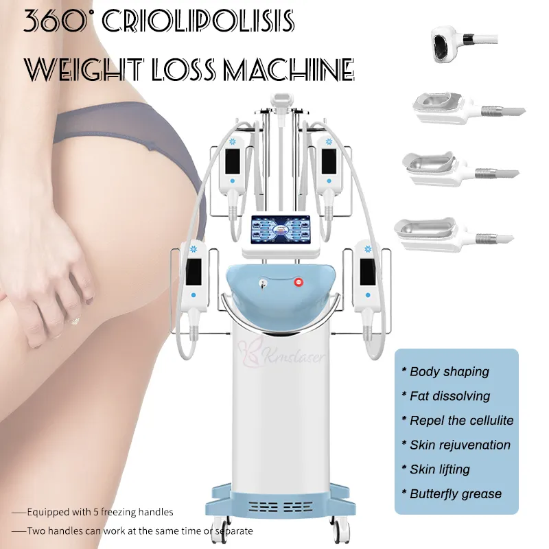 Machine de congélation des graisses par cryolipolyse 360, amincissante rapidement, avec 5 poignées, équipement d'élimination de la Cellulite du corps entier