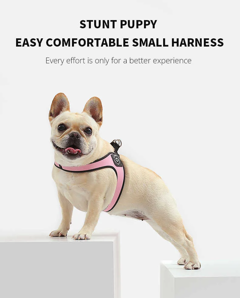 Stunt puppy harness hotsell