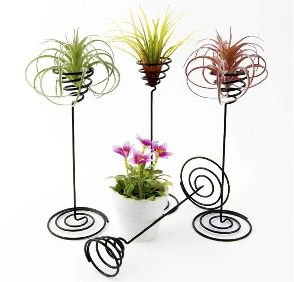 Wholesale Garden Decorations Air Plant Stand Holder Black Iron Spiral Flower AirPlant Container Tillandsia