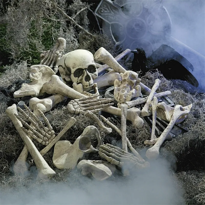 28-Piece Plastic Skeleton Bones & Skull Set - Realistic Halloween Decoration For Graveyard, Haunted House & Parties - View #2