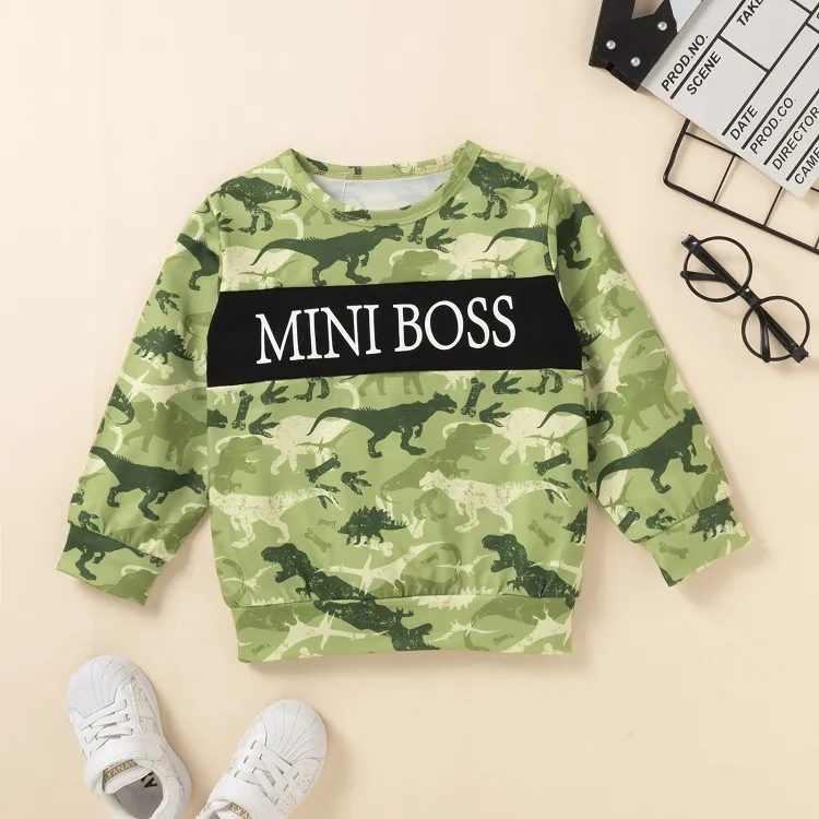 2-piece Kid Boy Letter Dinosaur Print Pullover Sweatshirt and Pants Set