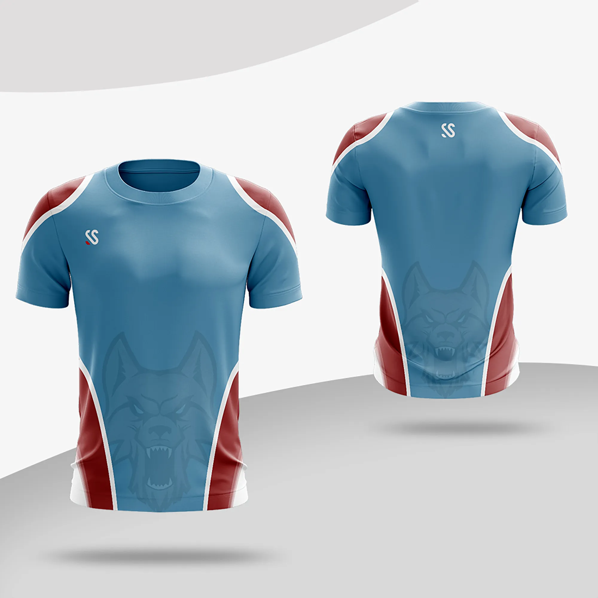 Custom Camiseta de fútbol para hombre Camisetas de fútbol de tamaño  completo Sportswear - China Ropa y Sportswear precio
