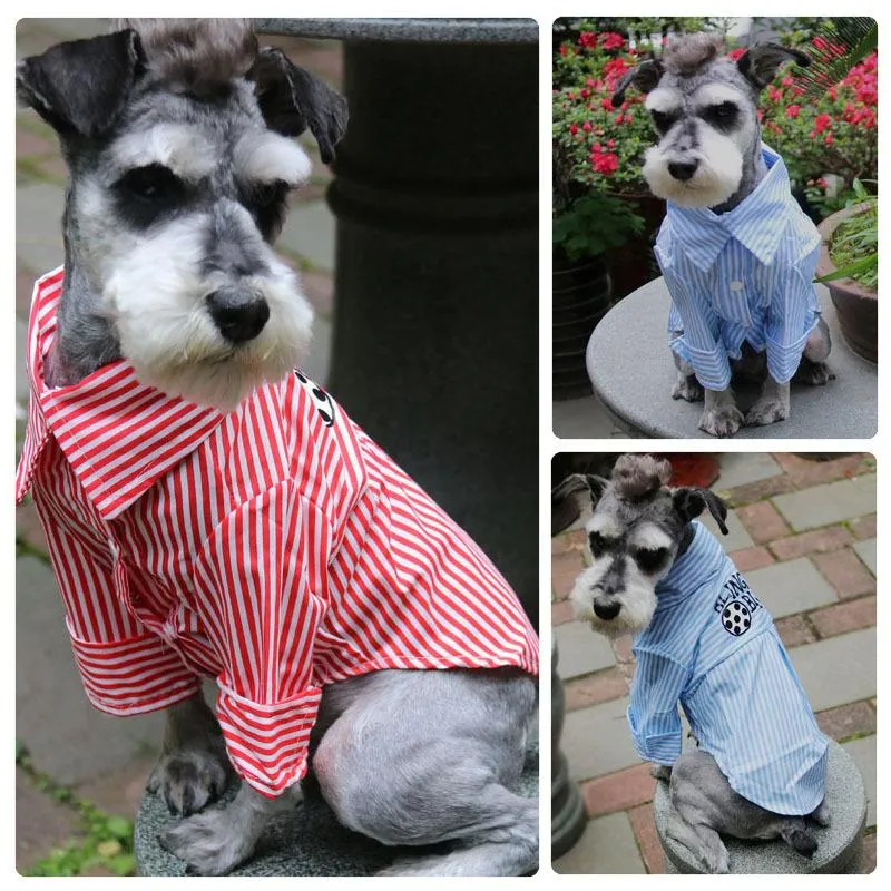 Dog Apparel Ida Pet Clothing 2021 Leisure Football Stripe Shirt Two-legged