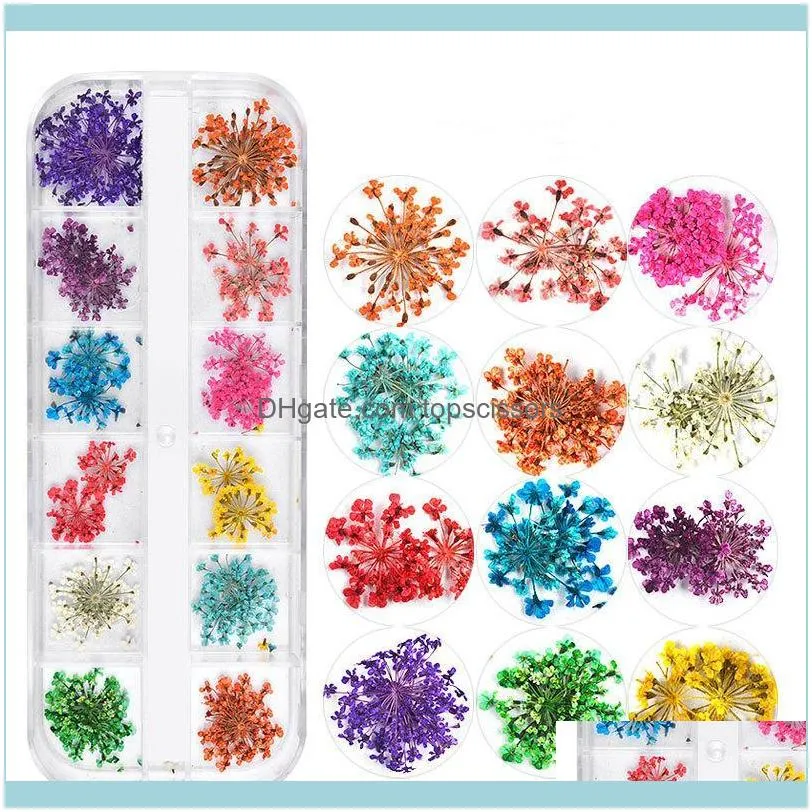 Nail Art Decorations 4boxes Dried Flowers Butterfly Glitter Stickers Sequins Flakes Supplies Gift Decoration Accessories & Diy