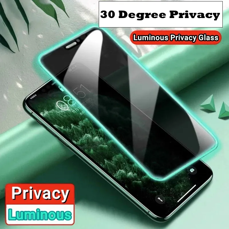 Protecteurs d'écran en verre trempé anti-espion lumineux pour iPhone 14 13 12 Pro Max Mini X XR Verre brillant Silicone Soft Edge Glow in Dark