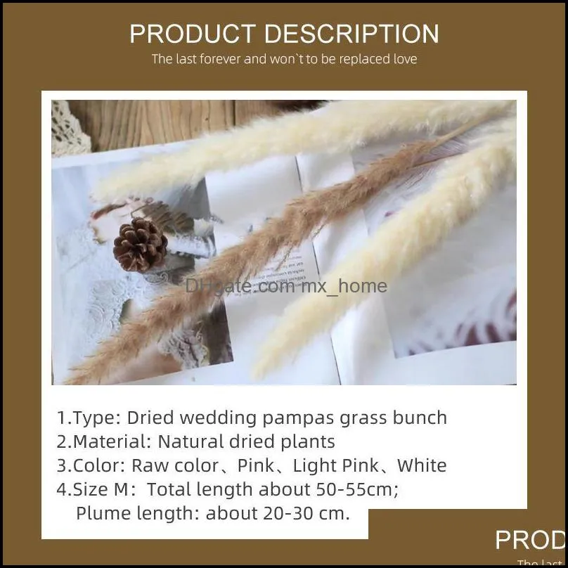 20 pcs Dried flower wedding pampam bunch home decor small pampas reed grass dried natural plants bunch Customizable colors
