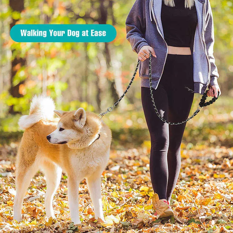 Metal chain dog leash hotsell