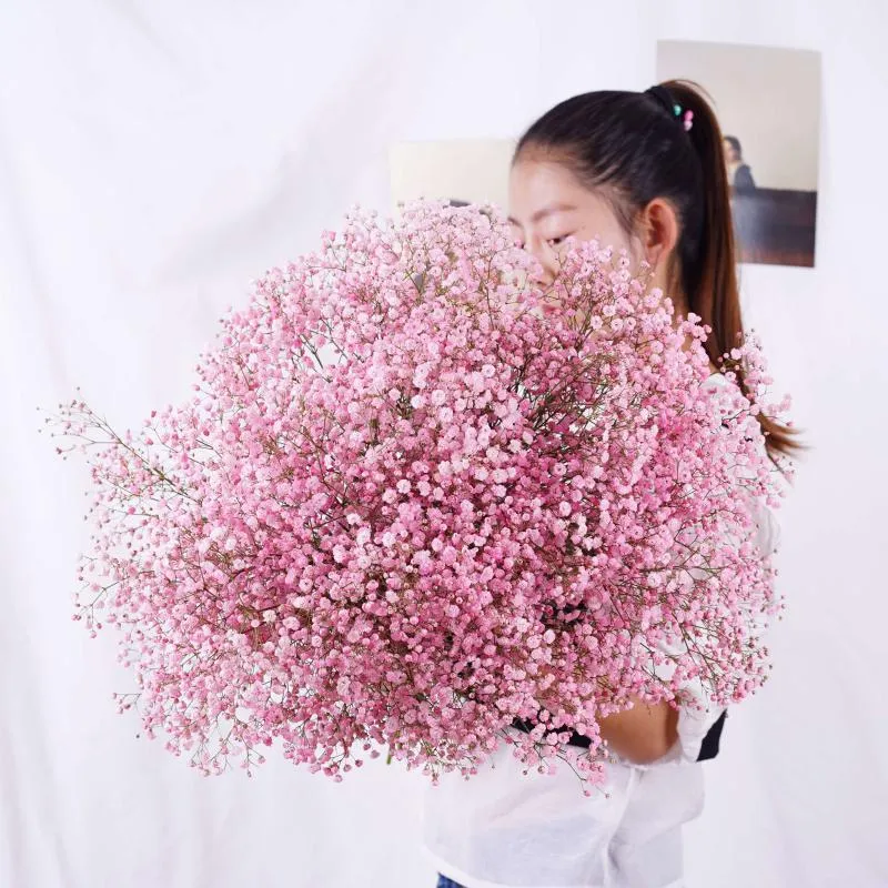 Dekorativa Blommor Kransar Naturlig Färskt Torkad Konserverad Gypsophila Paniculata, Baby's And Breath Flower Buketter Gåva till Bröllopsfest Decora